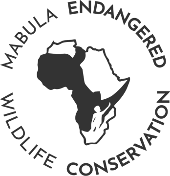 Mabula Endangered Wildlife Conservation